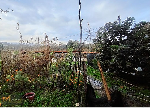 MABEL GAYRİMENKUL KEŞ KÖY KAVAKLAR MEVKISI ARSA İÇİNDE GÜZEL E